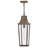 Hinkley Georgetown Hanging Lantern-108493385