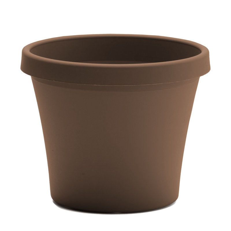 Terra Traditional Plastic Indoor/Outdoor Pot Planter, Chocolate, 8.5" H x 10.75" W x 10.75" D