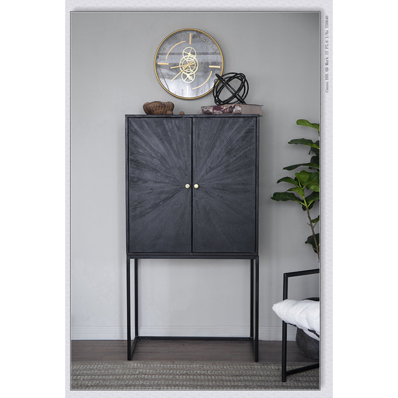 31.5x16.5x60" Cabinet, Black