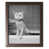 Brown Framed Paper selected