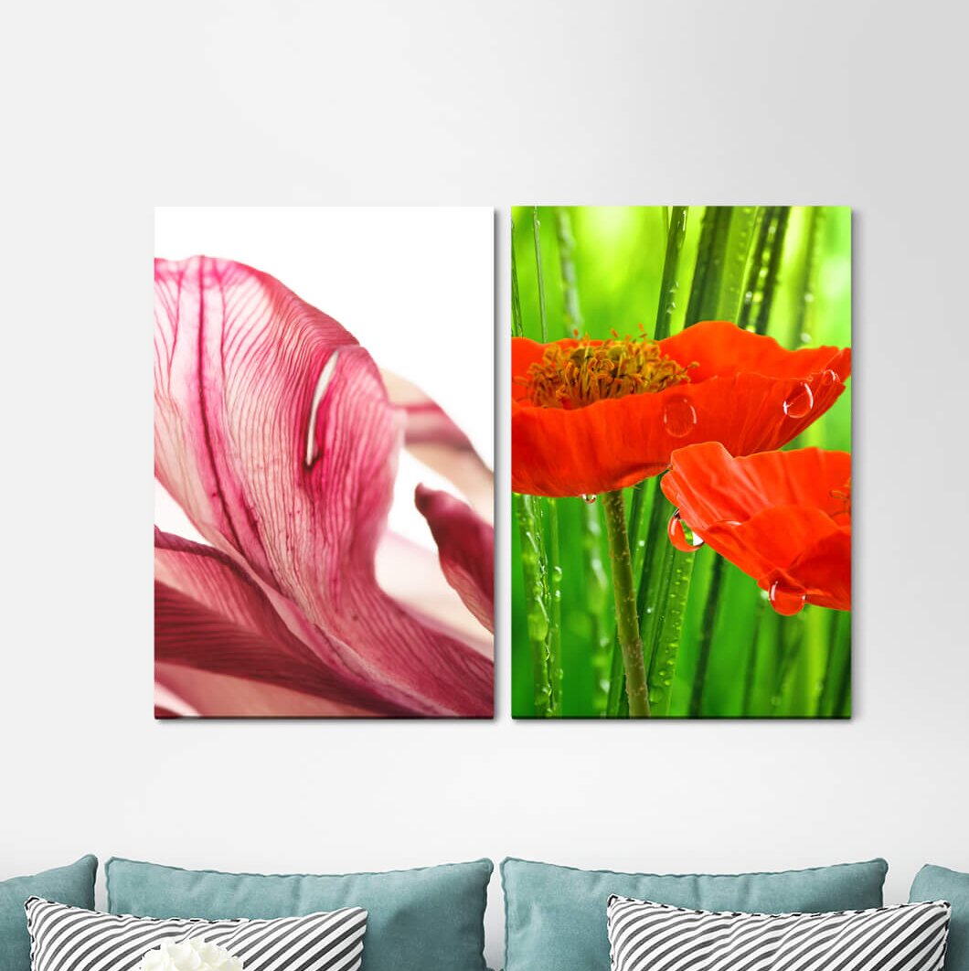 2-tlg. Leinwandbilder-Set - Fotografie „Poppy Flower Blossom Red Green Plants Flora”