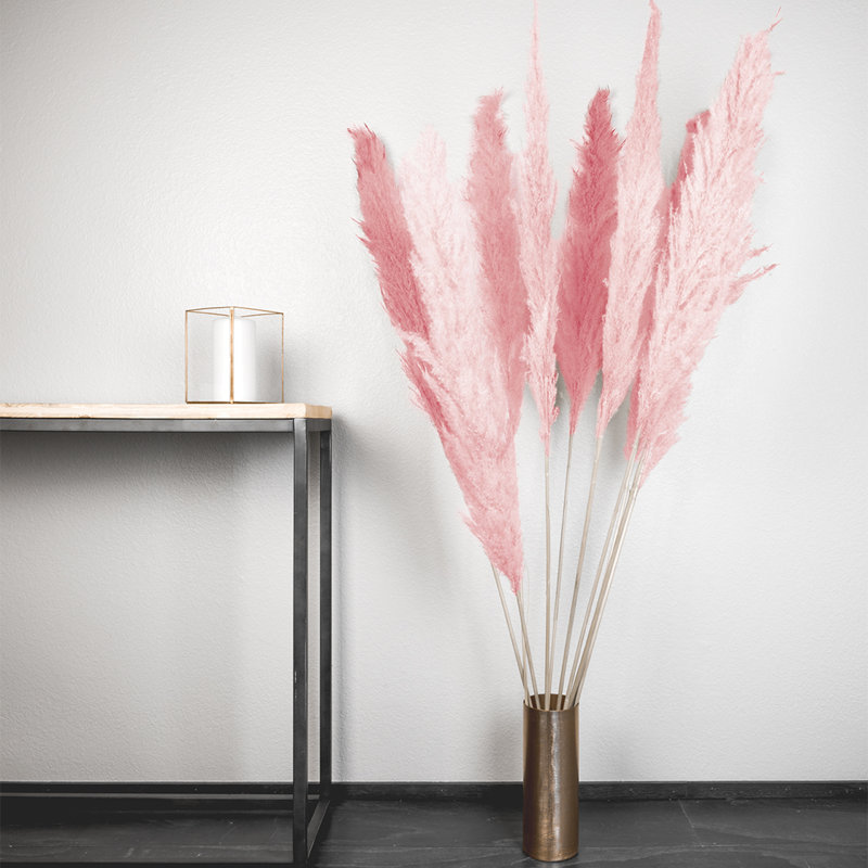 55'' Pampas Grass, Pink