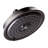 Raindance C 150 Multi Function Rain Shower Head-3609302