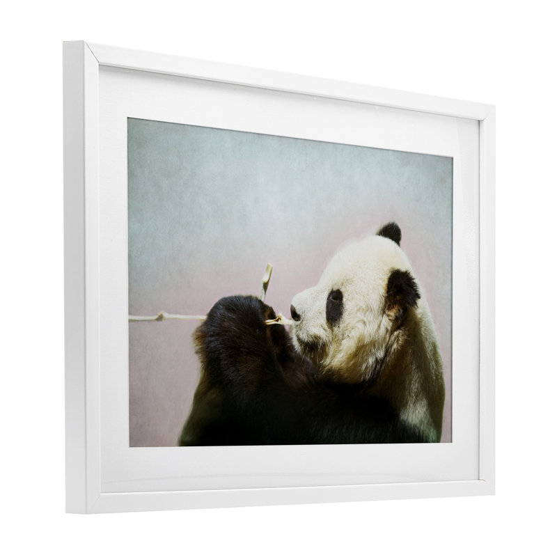 Wild Panda & Bamboo, reproduction encadrée sous verre, conception de Roberta Murray, H 14 po x l 20 po, Cadre blanc côtier
