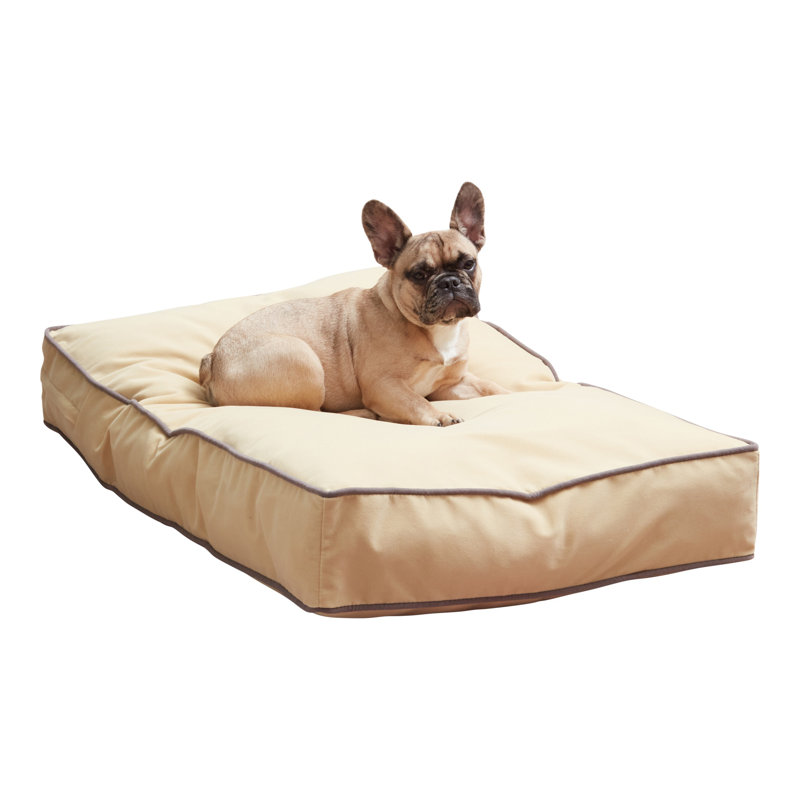 Lit pour chien Olivarez Classic, Petit (L 36 po x l 24 po x H 5 po), Crème au beurre