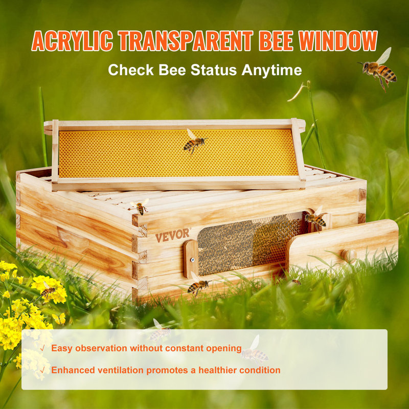 Trousse de départ pour boîte moyenne Bee Hive, 100% bois de cèdre naturel enduit de cire d'abeille, trousse de ruche Langstroth avec 10 cadres et fondations, fenêtres en acrylique transparentes pour débutants et apicoles