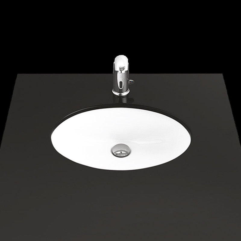 22.6'' L Bathroom Sink