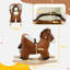 EvoNet Toy