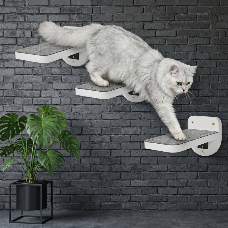 3 marches pour chat flottantes en bois naturel 3 pièces pour fixation murale, tablettes et perchoirs muraux pour chat, échelle d'escalade intérieure, supporte jusqu'à 30 lb