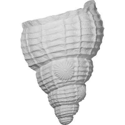 Applique murale Sea Shell