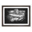 Train Through Canada - Single Picture Frame Print on MDF-56863648-56863647