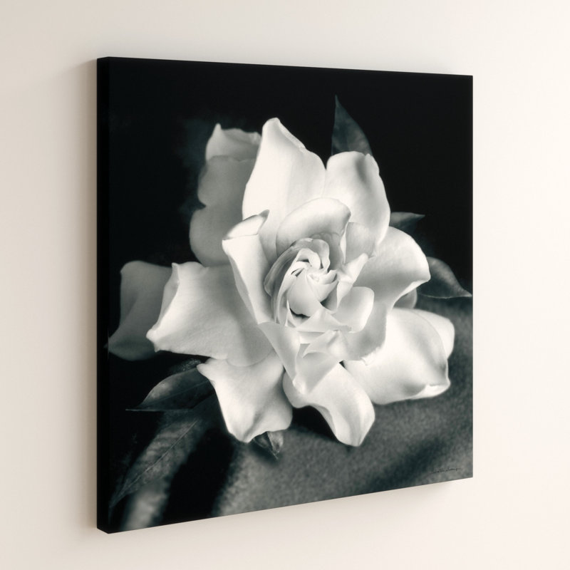 "Gardenia" par Debra VanS vêtementsingen, photographie de fleur sur toile tendue, H 14 po x l 14 po x P 2 po, Gris
