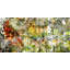 Parvez Taj - Wrapped Canvas Print-16671947