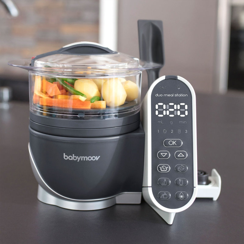 Industrial Grey Multi-Speed Baby Food Maker and Blender with 72-oz Capacity