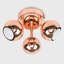 Alishba Spotlight-36154485-36154486