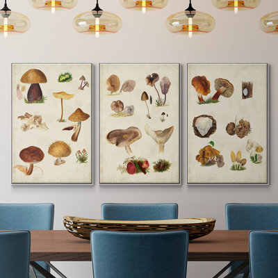 Mushroom Species I