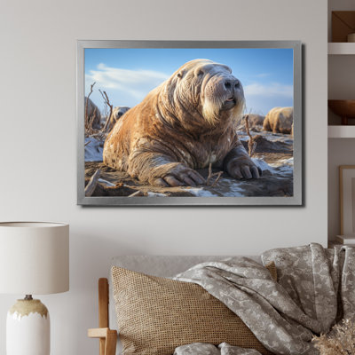 " Walrus Tundra King "
