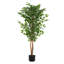 Ficus artificiel 63 "avec pot 63"