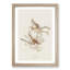 Song Sparrows by John Audubon - Picture Frame Painting Print-55618686-55618688