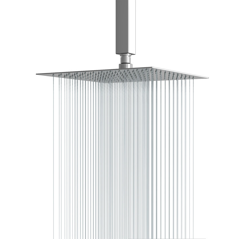 Tête de douche à pluie réglable en acier inoxydable, Chrome poli