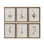 Botanique Collection Framed Prints - Gallery Set of 6