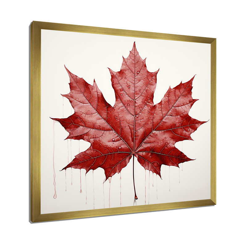 Simplicité de la feuille d'érable écarlate - impression, H 30 po x l 30 po x P 1 po, Cadre doré simple
