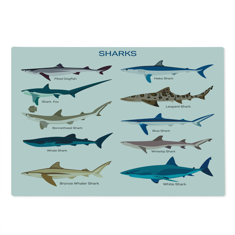 Multicolore à motif de requins de grande taille, Ambesonne