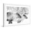 « elk pair », reproduction de photo sur papier encadrée-19578986