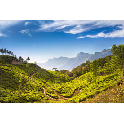 Tea Plantations 1 Piece Wrapped Canvas Wall Art