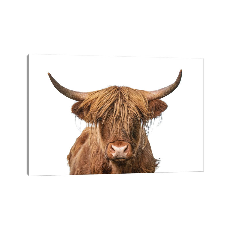 Highland Cow Headshot - Wrapped Canvas Print, 101.6 cm H x 66.04 cm W