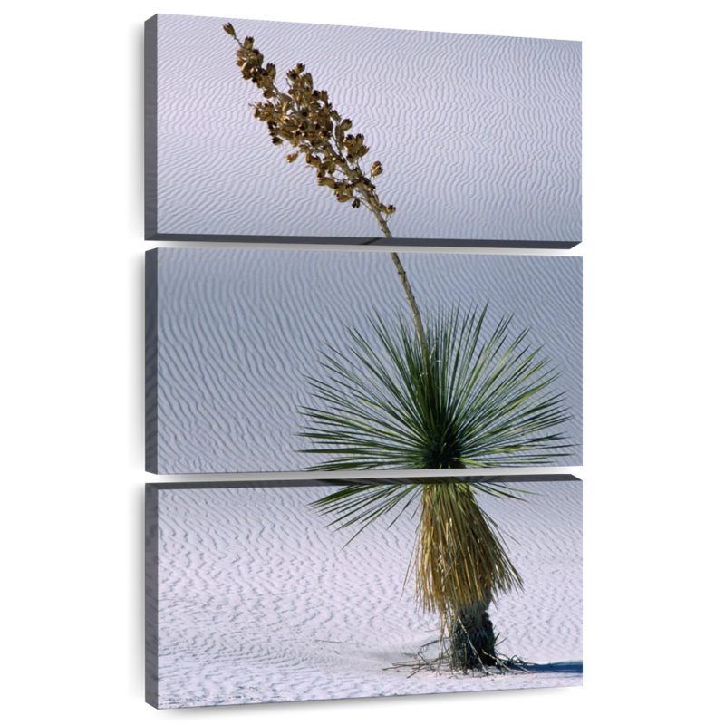Harnek Yucca Succulent, 32" H x 20" W