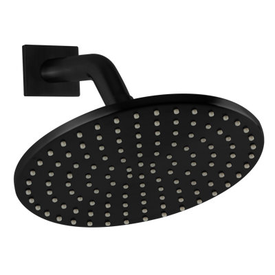 Rain Fixed Shower Head