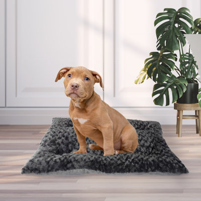 Tapis pour chien Telscombe