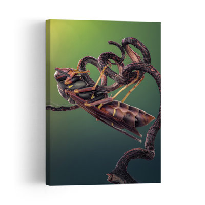 Where Shadows Breathe Dramatic Contemporary Bee Sunrise Wall Art Print 1 Piece Wrapped Canvas Wall Art