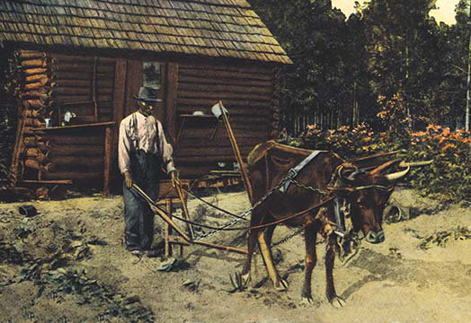 Ox-Plow - Unframed Graphic Art, 28" H x 42" W