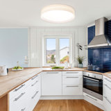 Ledja 20 inch Flush Mount Ceiling Light Dimmable