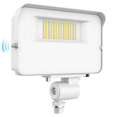 Projecteur d'extérieur à DEL