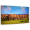 Brampt Calm Morning Elephants