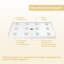 Base de douche 32 po x 48 po Bac de douche Drain central blanc
