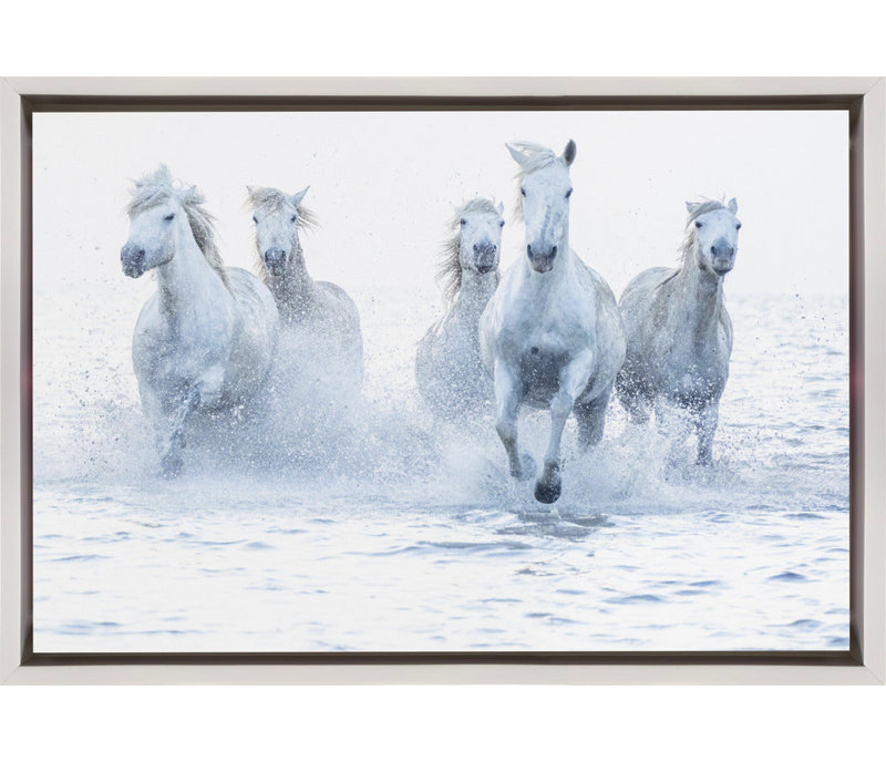 Art mural, Chevaux en cavale dans un cadre flottant blanc