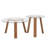 Ensemble de tables basses Modern Minimalist
