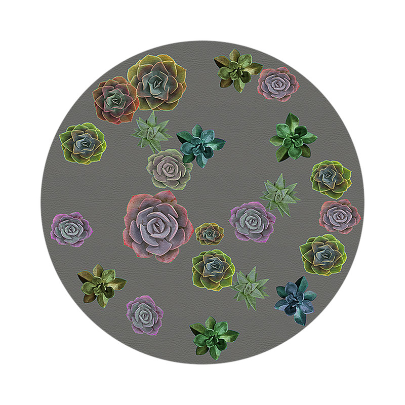 Succulents Floating Intenso Vegan Leather Round Coasters, Gray