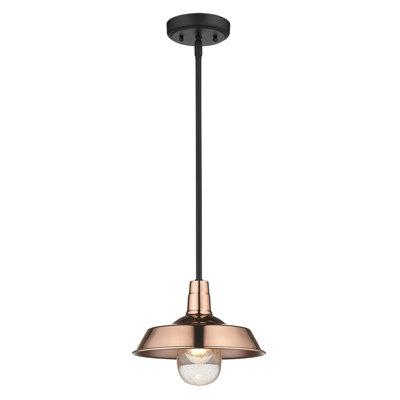 Sussman 1 - Light Single Pendant