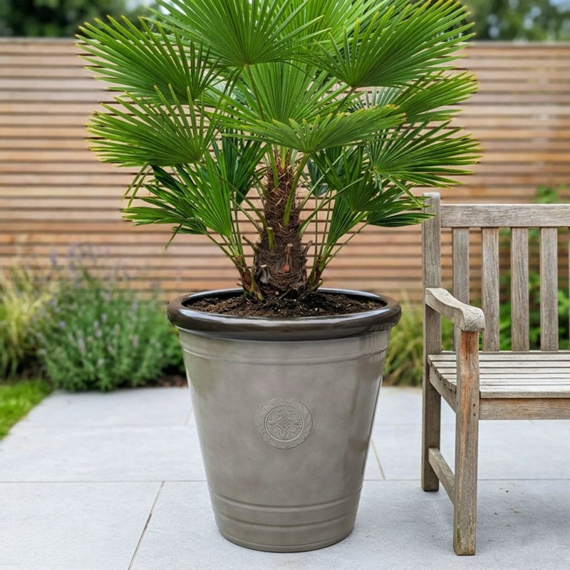 Handmade Pot Planter