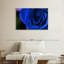Bleu rose arbuste-968050429-968050421