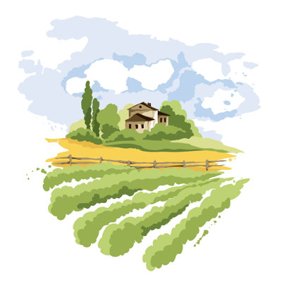 Mimi Vineyard - Wrapped Canvas Print