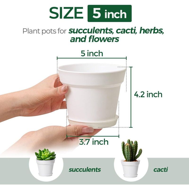 Pots à plantes 5 "avec drainage et soucoupes (ensemble de 8)