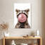 Raton laveur Bubble Gum-2092537626