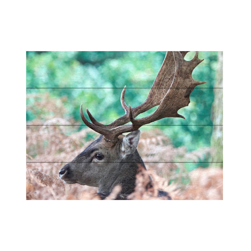 Debmercury   Fallow Stag Deer. Wood Slat Art, H 12 po x l 16 po