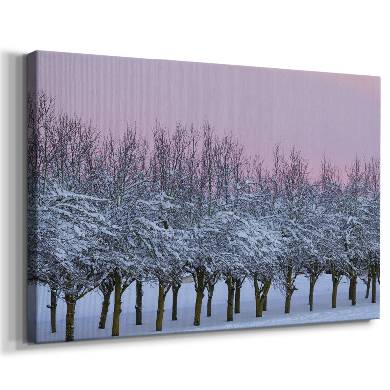 Beauté d'hiver - Cavas enveloppés de galerie, 12 x 18